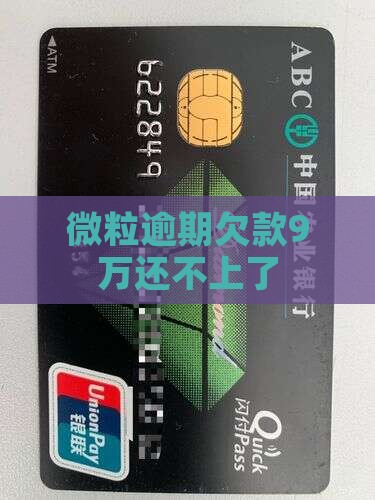 微粒逾期欠款9万还不上了