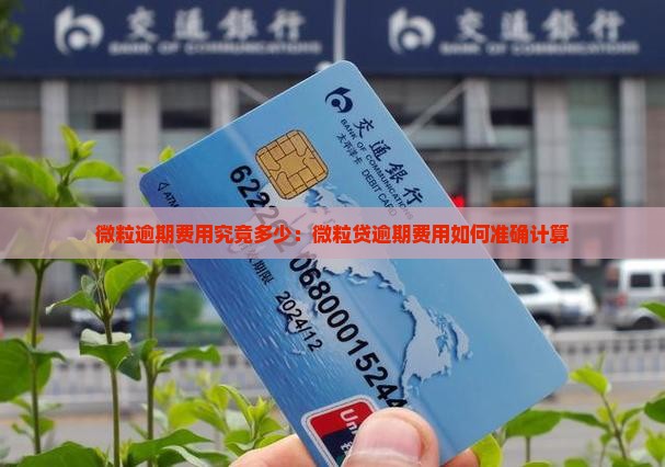 微粒逾期费用究竟多少：微粒贷逾期费用如何准确计算