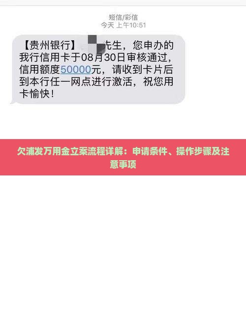 欠浦发万用金立案流程详解：申请条件、操作步骤及注意事项