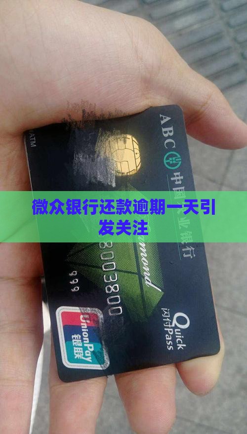 微众银行还款逾期一天引发关注