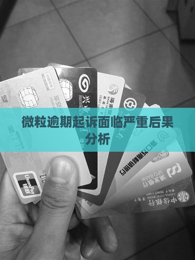 微粒逾期起诉面临严重后果分析