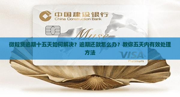 微粒贷逾期十五天如何解决？逾期还款怎么办？教你五天内有效处理方法