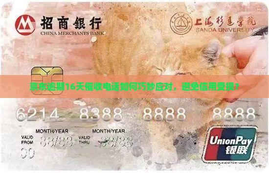 京东逾期16天催收电话如何巧妙应对，避免信用受损？