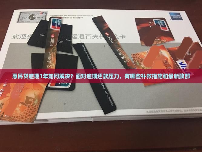 惠民贷逾期1年如何解决？面对逾期还款压力，有哪些补救措施和最新政部