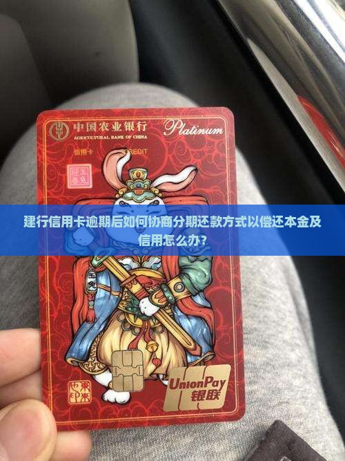 建行信用卡逾期后如何协商分期还款方式以偿还本金及信用怎么办？