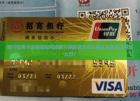 建行信用卡逾期后如何协商分期还款方式以偿还本金及信用怎么办？
