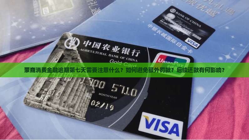 蒙商消费金融逾期第七天需要注意什么？如何避免额外罚款？后续还款有何影响？