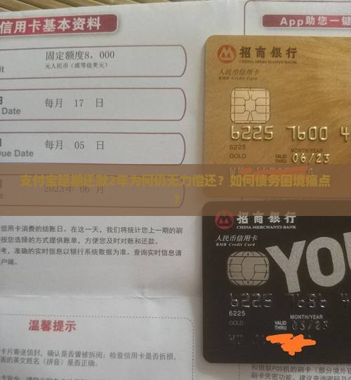支付宝延期还款2年为何仍无力偿还？如何债务困境痛点？