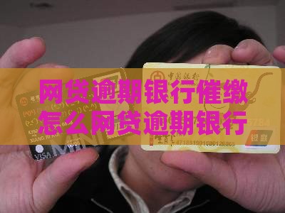 网贷逾期银行催缴怎么网贷逾期银行会催收吗