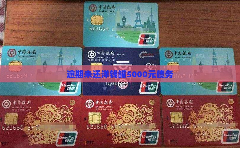 逾期未还洋钱罐5000元债务