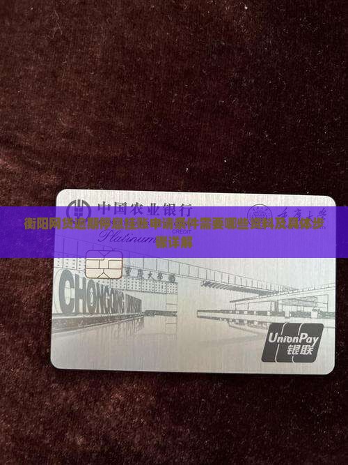 衡阳网贷逾期停息挂账申请条件需要哪些资料及具体步骤详解