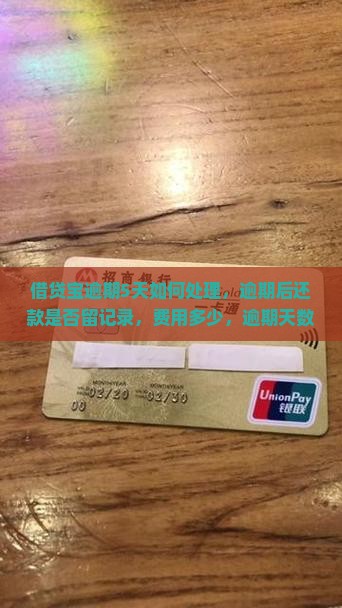借贷宝逾期5天如何处理，逾期后还款是否留记录，费用多少，逾期天数影响征信及每日手续费