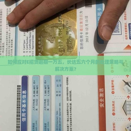 如何应对E招贷逾期一万五，长达五六个月的处理策略与解决方案？