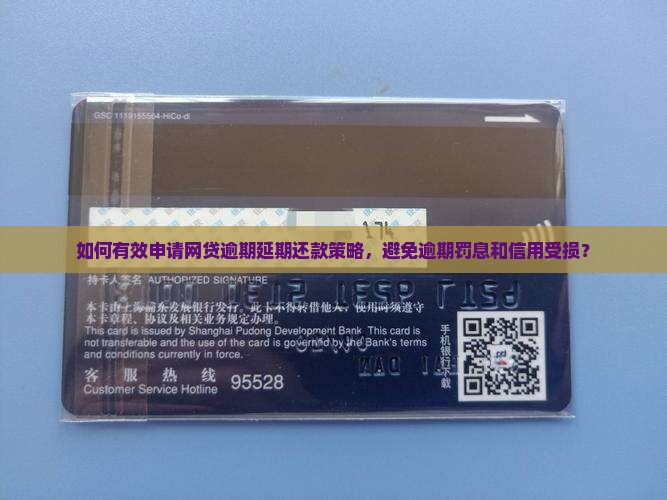 如何有效申请网贷逾期延期还款策略，避免逾期罚息和信用受损？