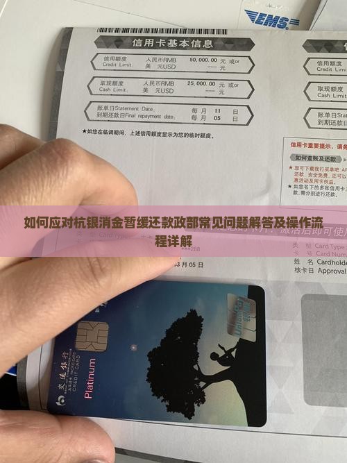 如何应对杭银消金暂缓还款政部常见问题解答及操作流程详解