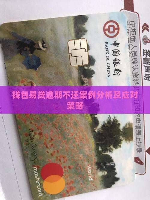 钱包易贷逾期不还案例分析及应对策略