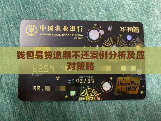 钱包易贷逾期不还案例分析及应对策略