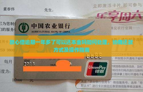 放心借逾期一年多了可以还本金吗如何处理，协商还款方式及操作指南