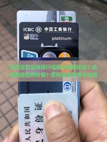 如何应对蓝海银行信用卡逾期还款？逾期利息如何计算？怎样避免信用卡逾期影响信用记录？