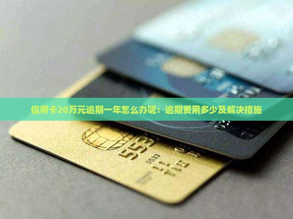 信用卡20万元逾期一年怎么办呢：逾期费用多少及解决措施