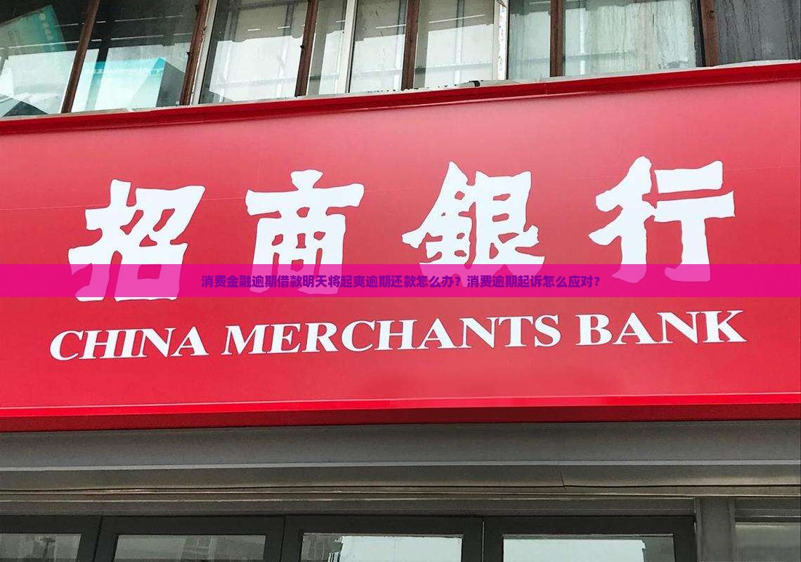 消费金融逾期借款明天将起爽逾期还款怎么办？消费逾期起诉怎么应对？