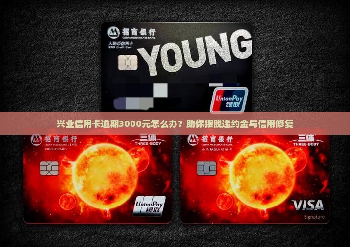 兴业信用卡逾期3000元怎么办？助你摆脱违约金与信用修复
