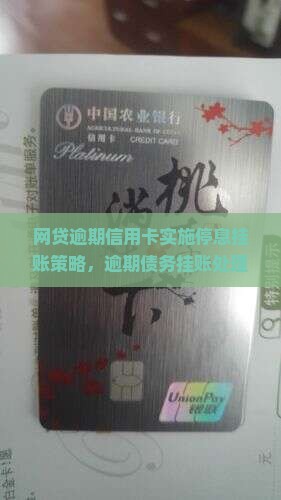 网贷逾期信用卡实施停息挂账策略，逾期债务挂账处理新方案
