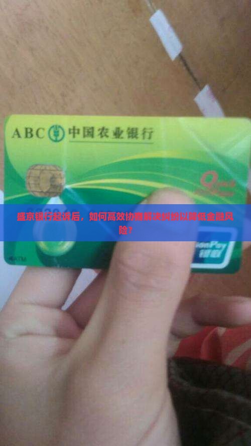 盛京银行起诉后，如何高效协商解决纠纷以降低金融风险？