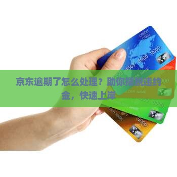 京东逾期了怎么处理？助你摆脱违约金，快速上岸
