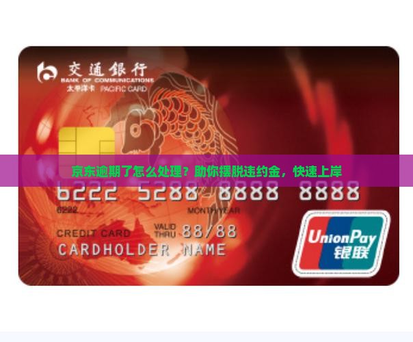 京东逾期了怎么处理？助你摆脱违约金，快速上岸