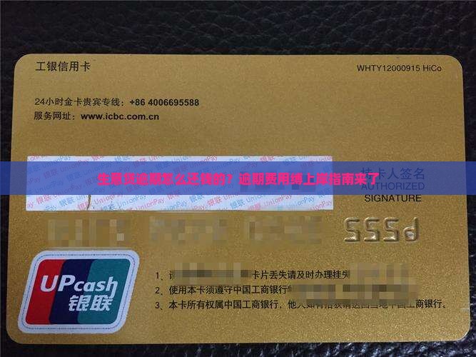 生意贷逾期怎么还钱的？逾期费用缚上岸指南来了
