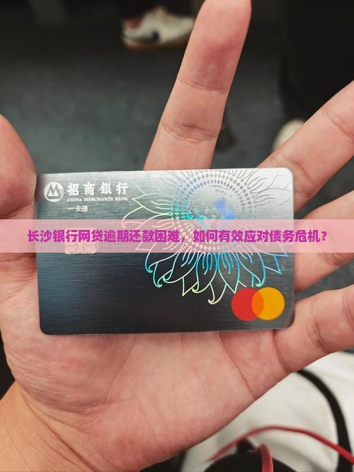 长沙银行网贷逾期还款困难，如何有效应对债务危机？
