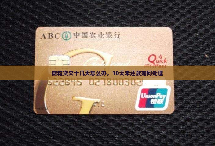 微粒贷欠十几天怎么办，10天未还款如何处理