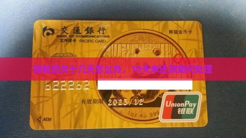 微粒贷欠十几天怎么办，10天未还款如何处理