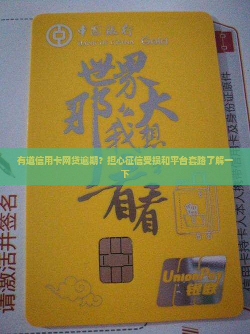 有道信用卡网贷逾期？担心征信受损和平台套路了解一下