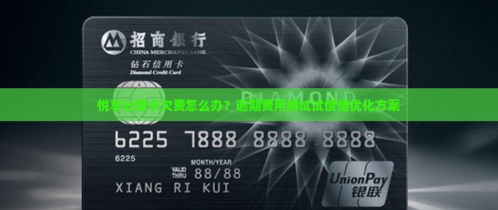 悦享分期卡欠费怎么办？逾期费用缚试试债偿优化方案
