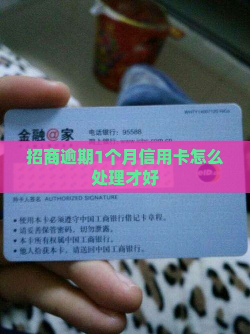 招商逾期1个月信用卡怎么处理才好