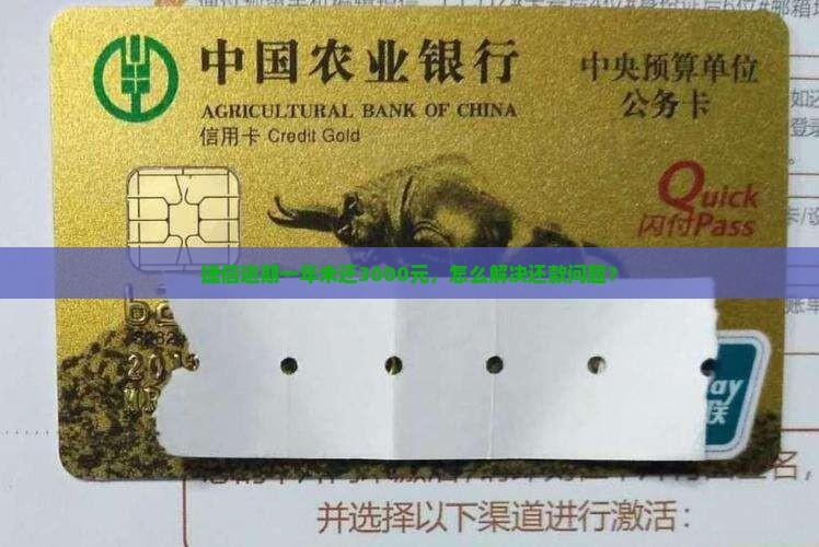 捷信逾期一年未还3000元，怎么解决还款问题？