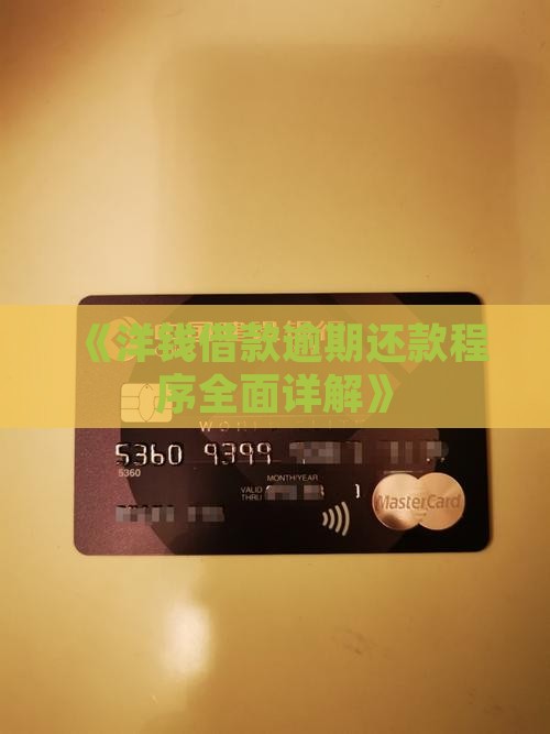 《洋钱借款逾期还款程序全面详解》