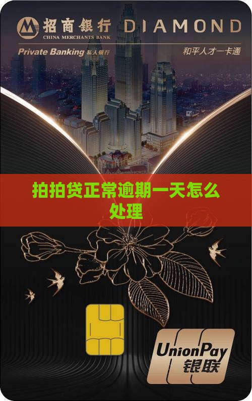 拍拍贷正常逾期一天怎么处理