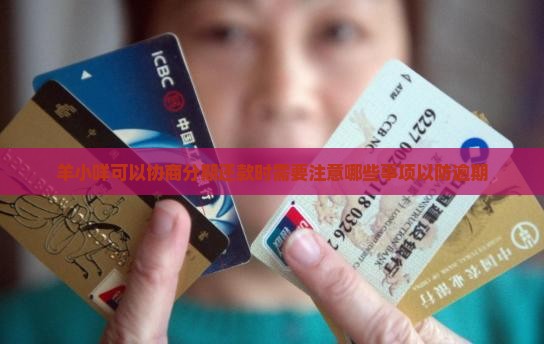 羊小咩可以协商分期还款时需要注意哪些事项以防逾期