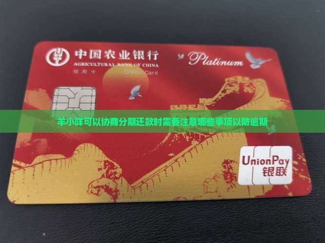羊小咩可以协商分期还款时需要注意哪些事项以防逾期