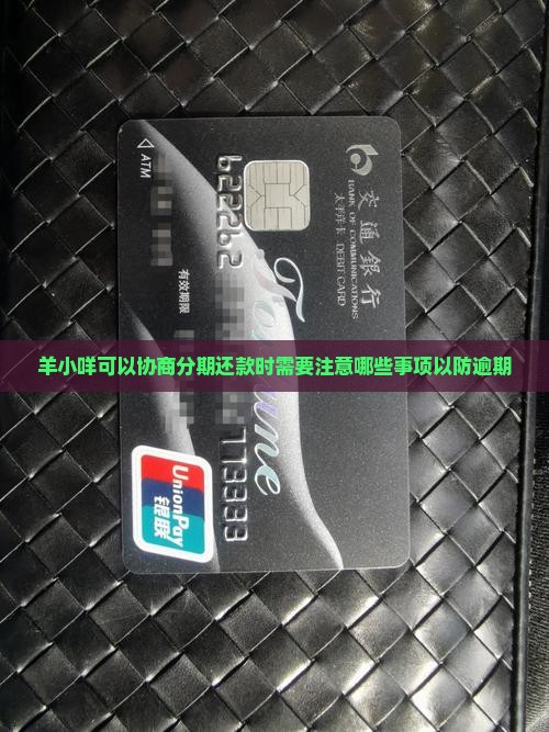 羊小咩可以协商分期还款时需要注意哪些事项以防逾期