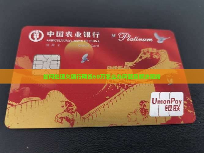 如何处理欠银行网贷60万怎么办问题及解决策略