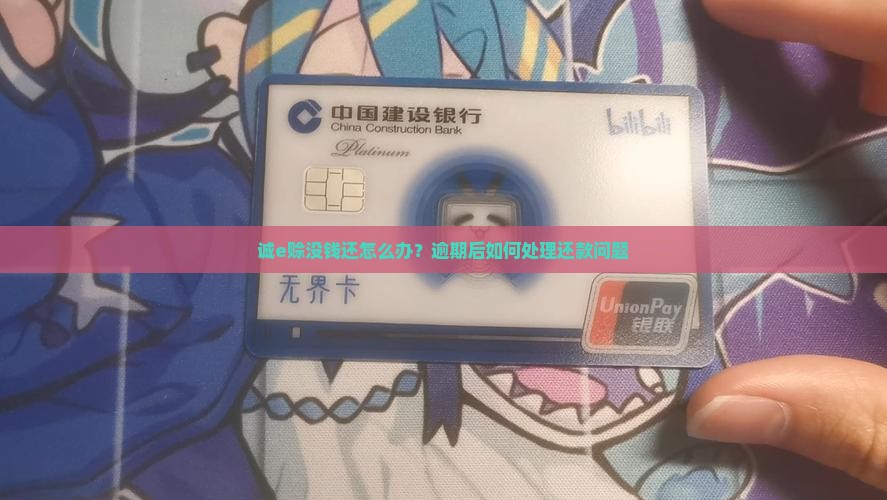 诚e赊没钱还怎么办？逾期后如何处理还款问题