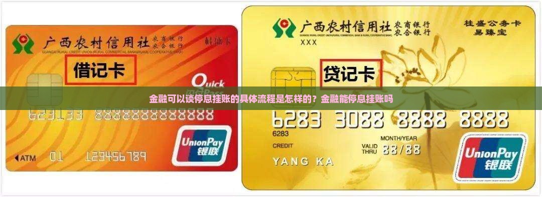 金融可以谈停息挂账的具体流程是怎样的？金融能停息挂账吗
