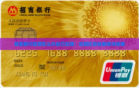 韩亚银行逾期怎么办自己处理：逾期还款自助解决指南