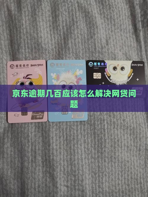 京东逾期几百应该怎么解决网贷问题