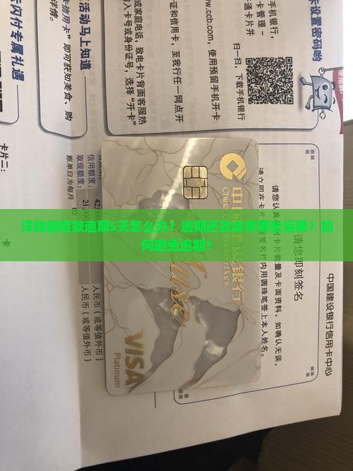 洋钱罐借款逾期5天怎么办？逾期还款会有哪些后果？如何避免逾期？