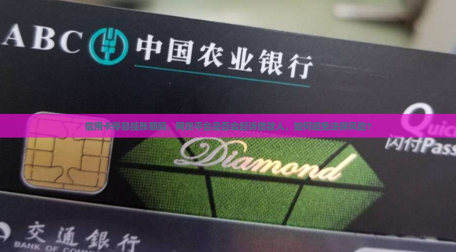信用卡停息挂账期间，网贷平台是否会起诉借款人，如何避免法律风险？